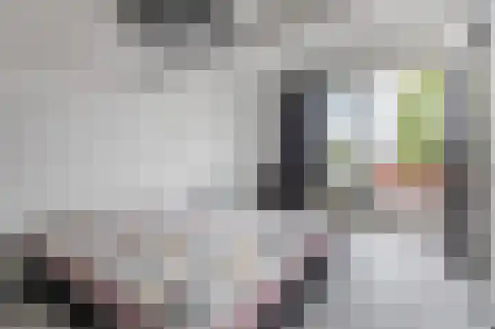 Dageraad 19 Elst thumbnail 37