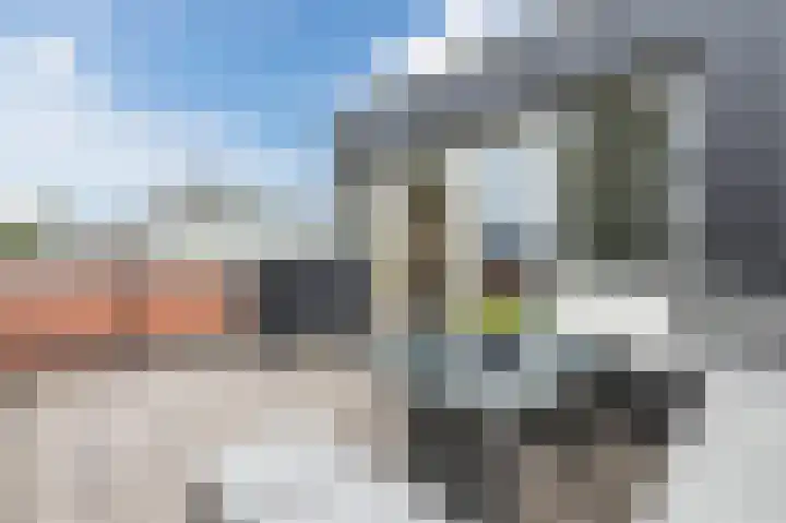 Dageraad 19 Elst thumbnail 40