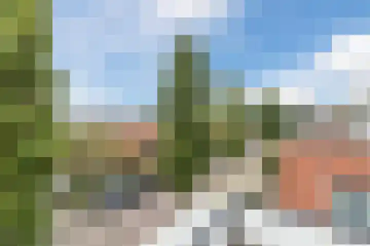 Dageraad 19 Elst thumbnail 42