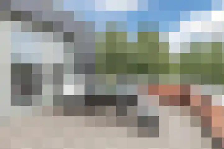 Dageraad 19 Elst thumbnail 43