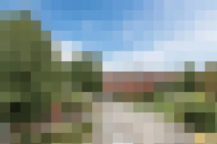 Dageraad 19 Elst thumbnail 45