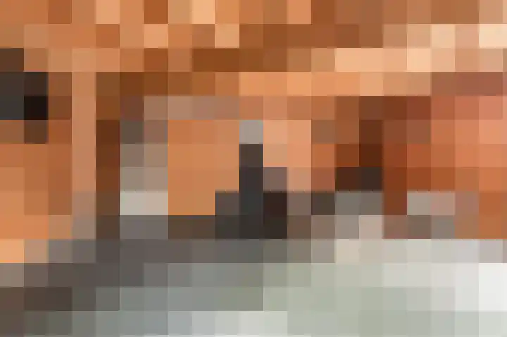 Dageraad 19 Elst thumbnail 50