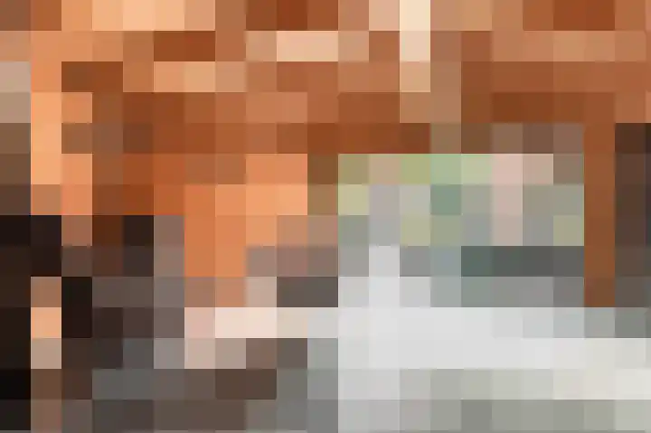 Dageraad 19 Elst thumbnail 51