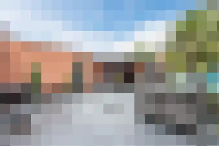 Dageraad 19 Elst thumbnail 52