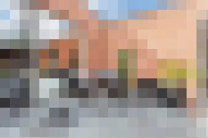 Dageraad 19 Elst thumbnail 54