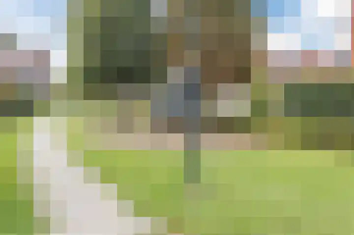 Dageraad 19 Elst thumbnail 58