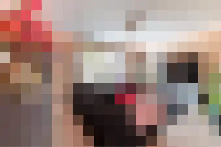 Dageraad 19 Elst thumbnail 6
