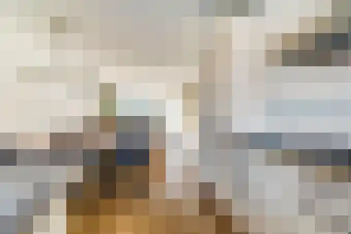 Dageraad 26 Elst thumbnail 11