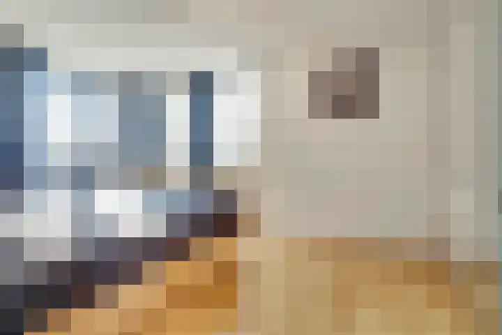 Dageraad 26 Elst thumbnail 14