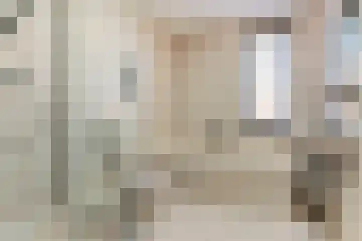 Dageraad 26 Elst thumbnail 19
