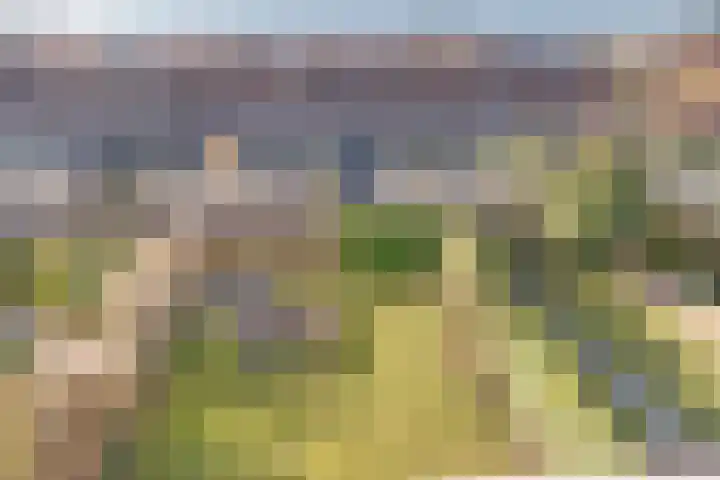Dageraad 26 Elst thumbnail 27