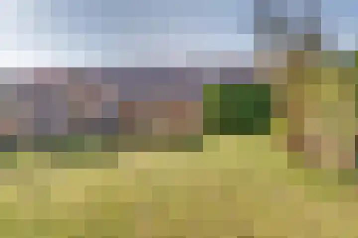 Dageraad 26 Elst thumbnail 28