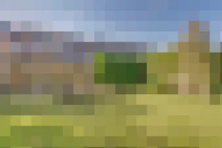 Dageraad 26 Elst thumbnail 29