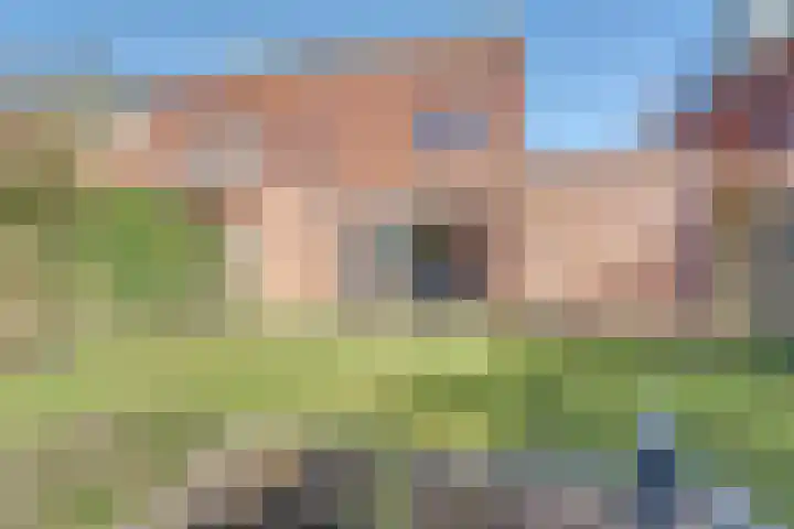 Dageraad 26 Elst thumbnail 30