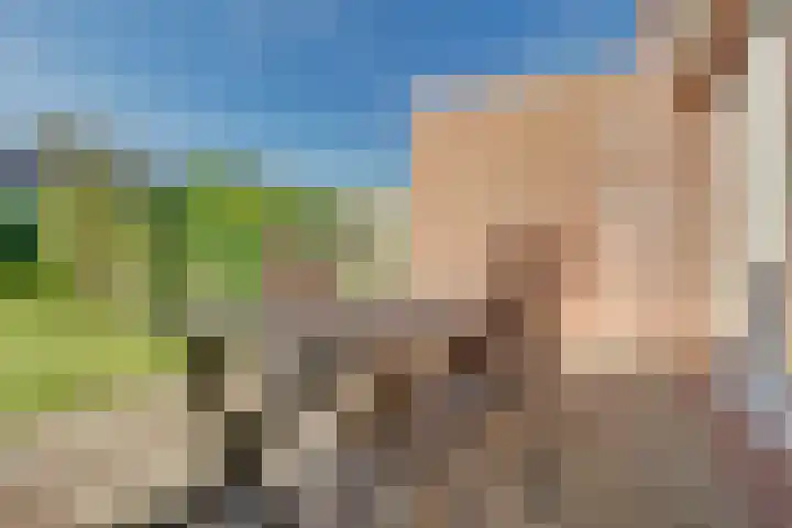 Dageraad 26 Elst thumbnail 31