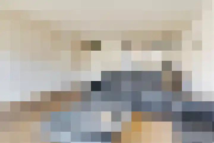 Dageraad 26 Elst thumbnail 5