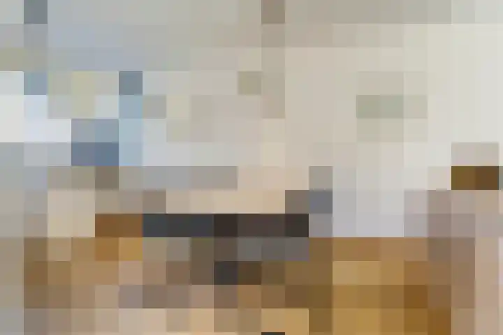 Dageraad 26 Elst thumbnail 6