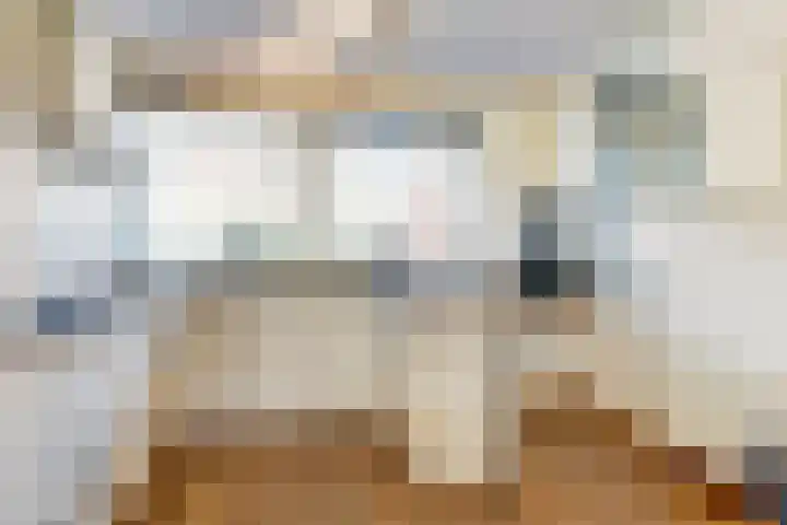 Dageraad 26 Elst thumbnail 9