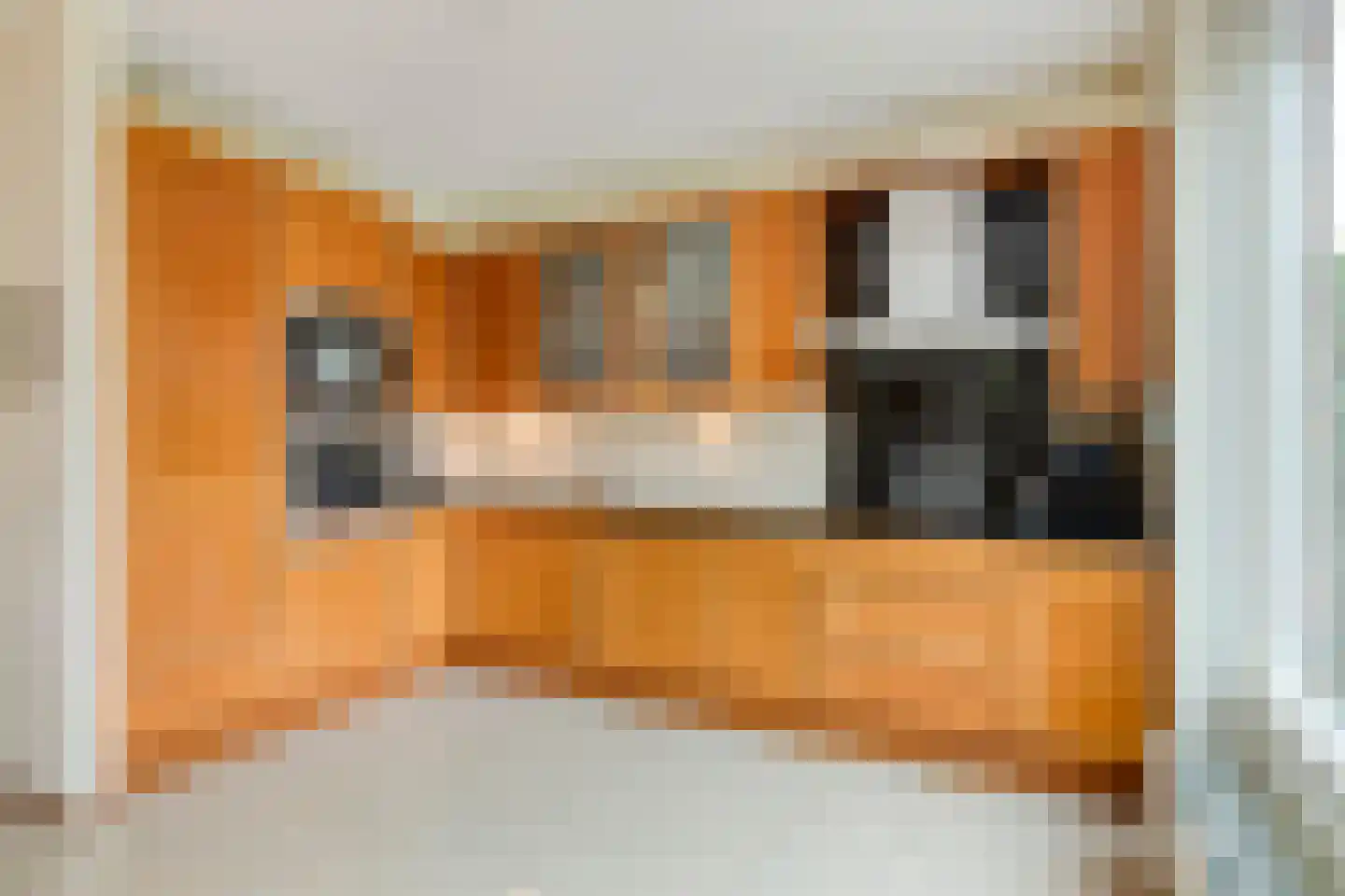 Dageraad 47 Elst thumbnail 18