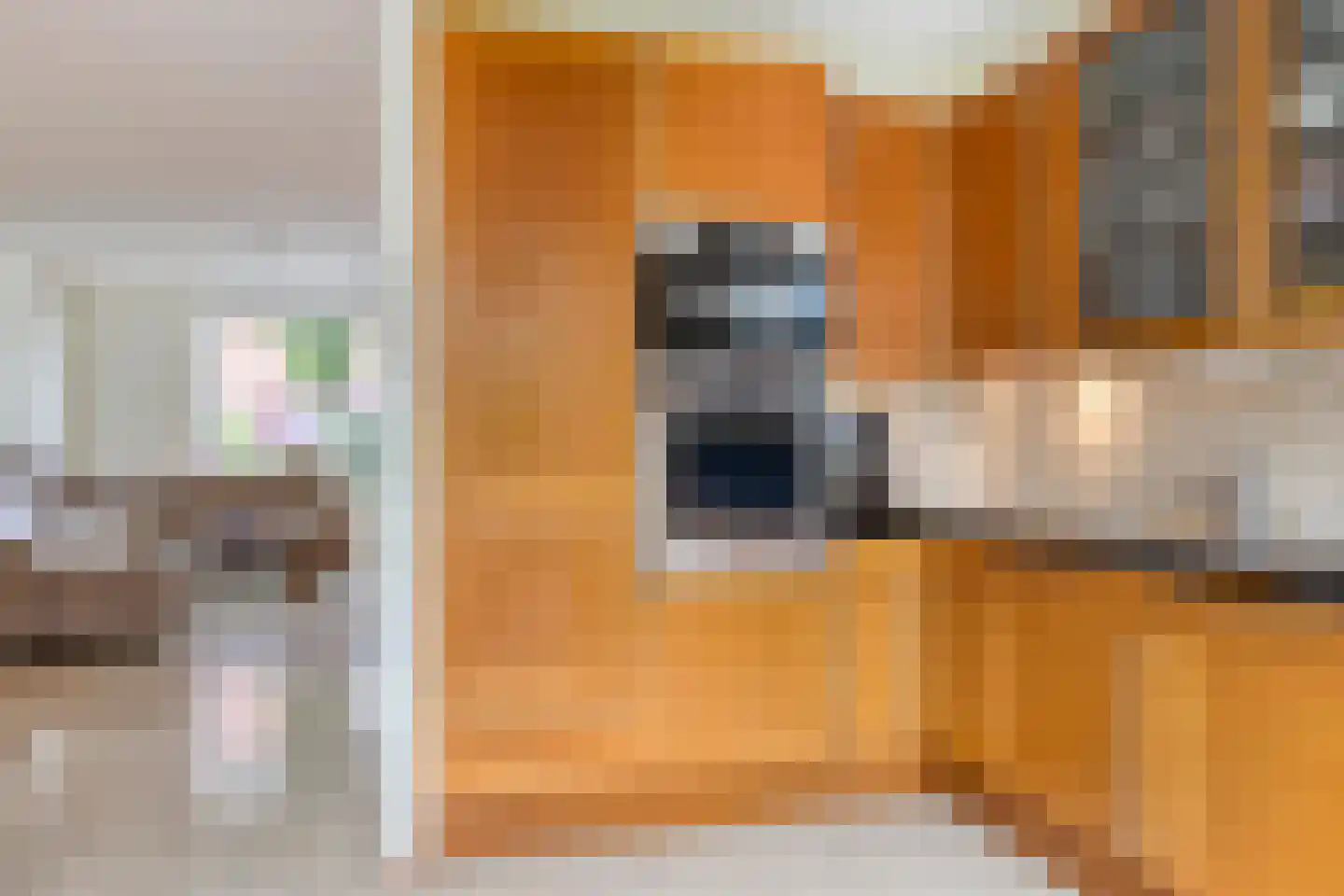 Dageraad 47 Elst thumbnail 21