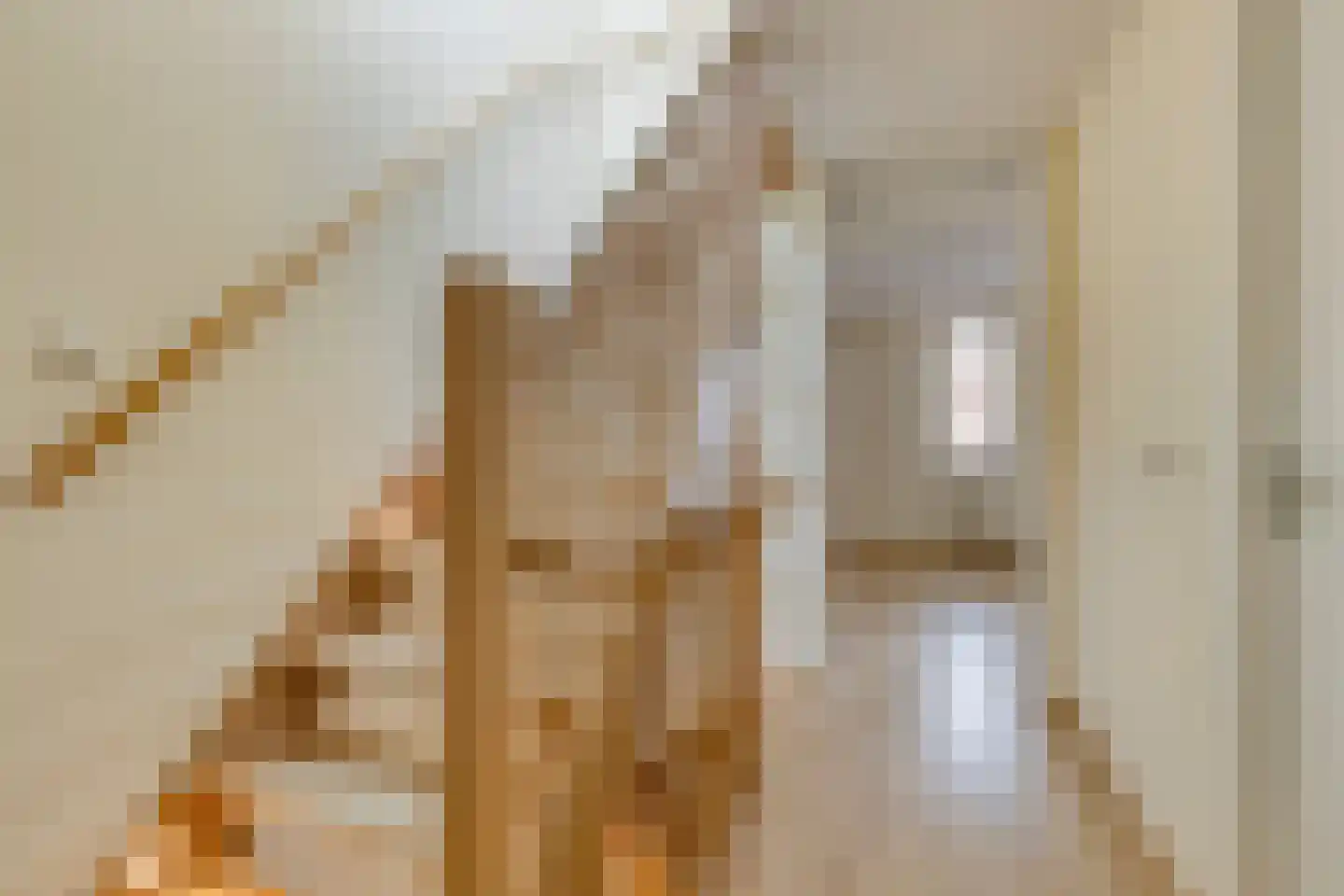 Dageraad 47 Elst thumbnail 22