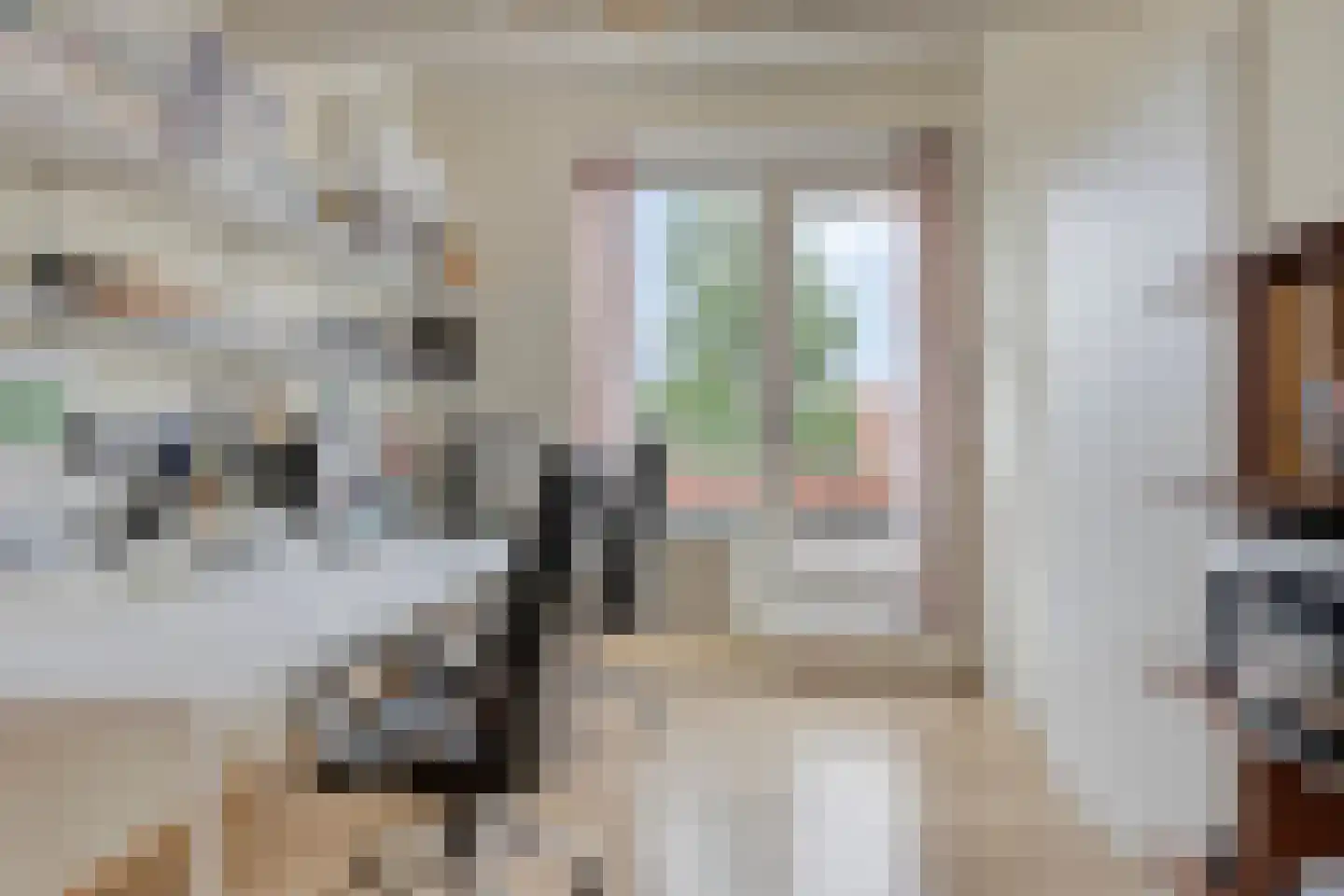 Dageraad 47 Elst thumbnail 34