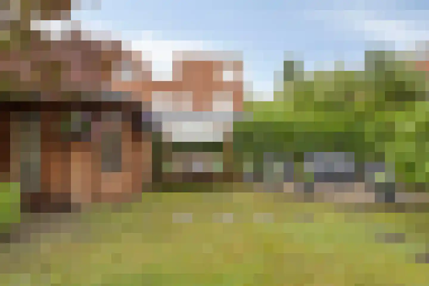 Dageraad 47 Elst thumbnail 37