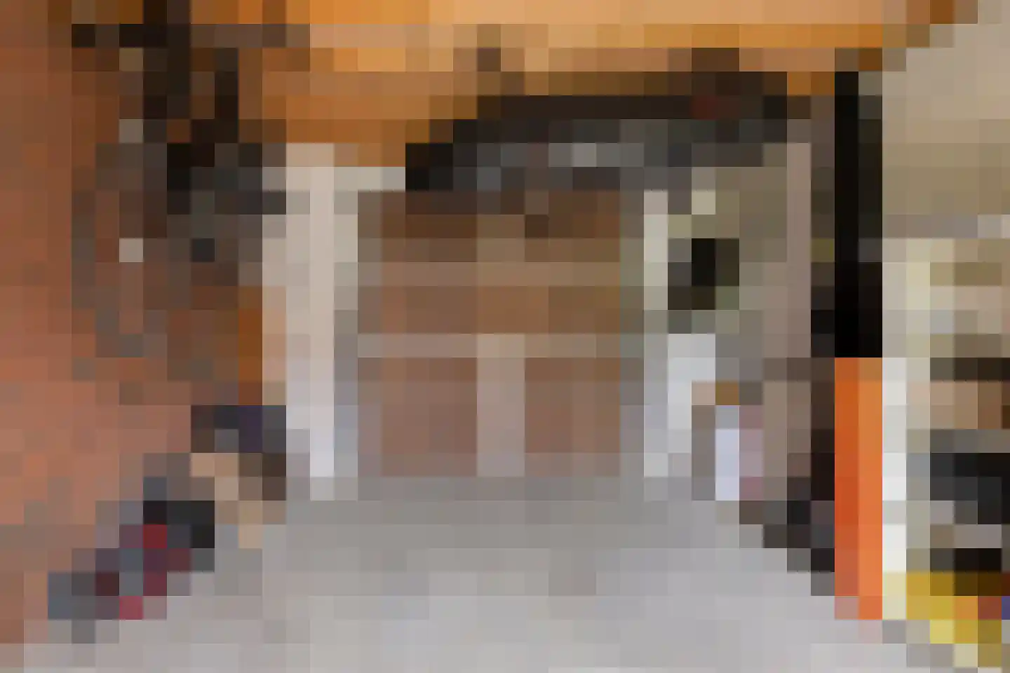 Dageraad 47 Elst thumbnail 38