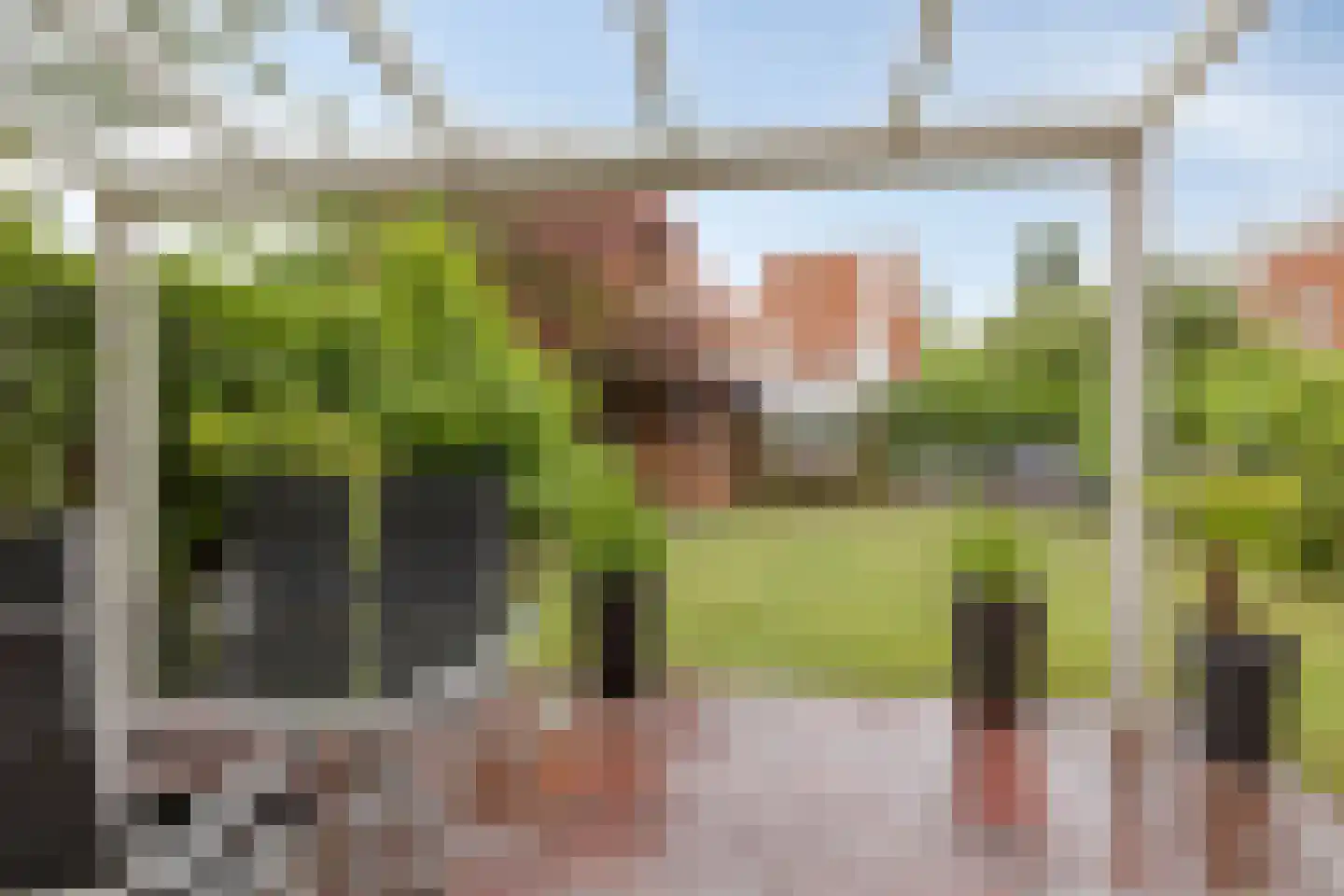 Dageraad 47 Elst thumbnail 4