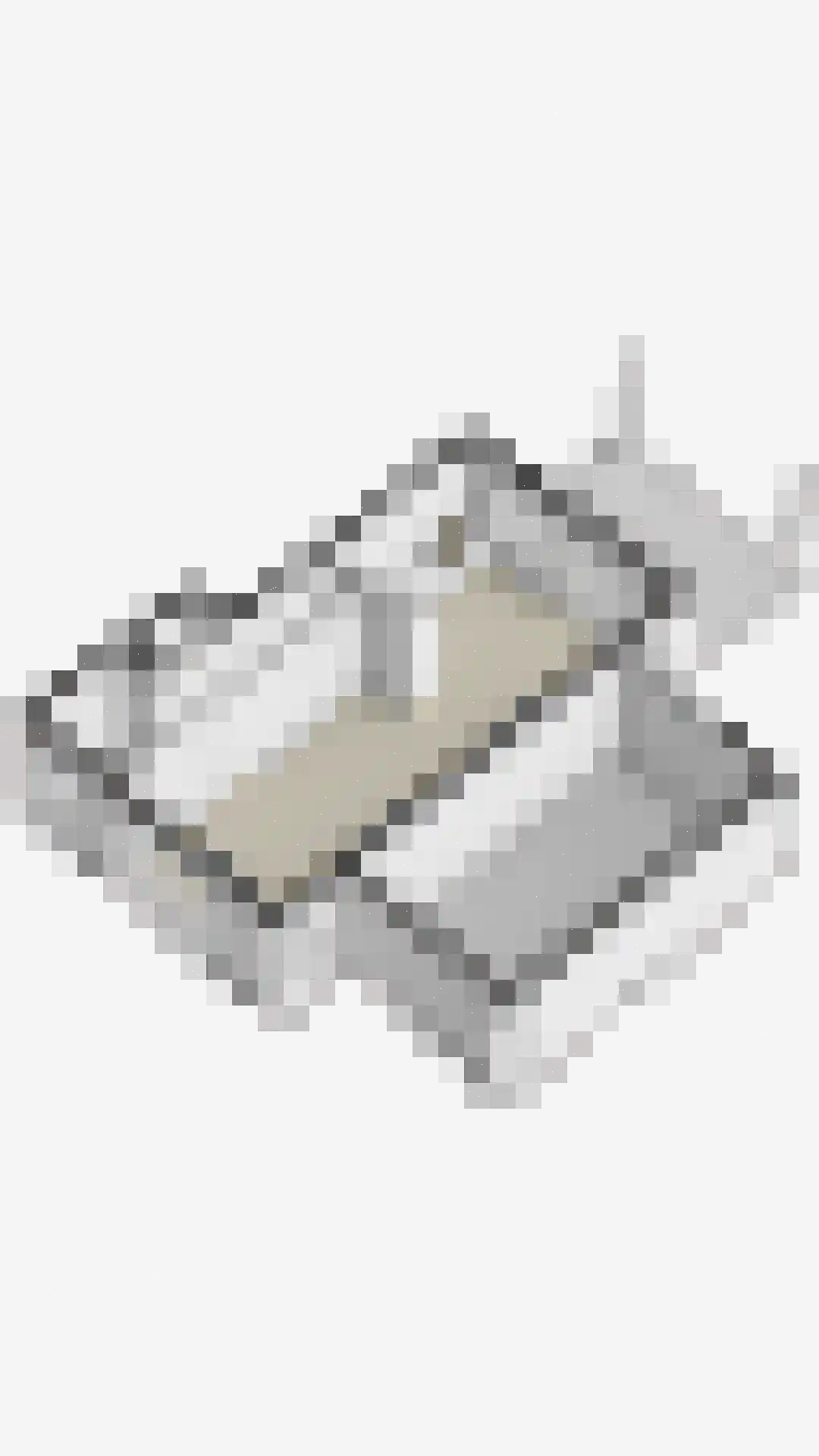 Dageraad 47 Elst thumbnail 45