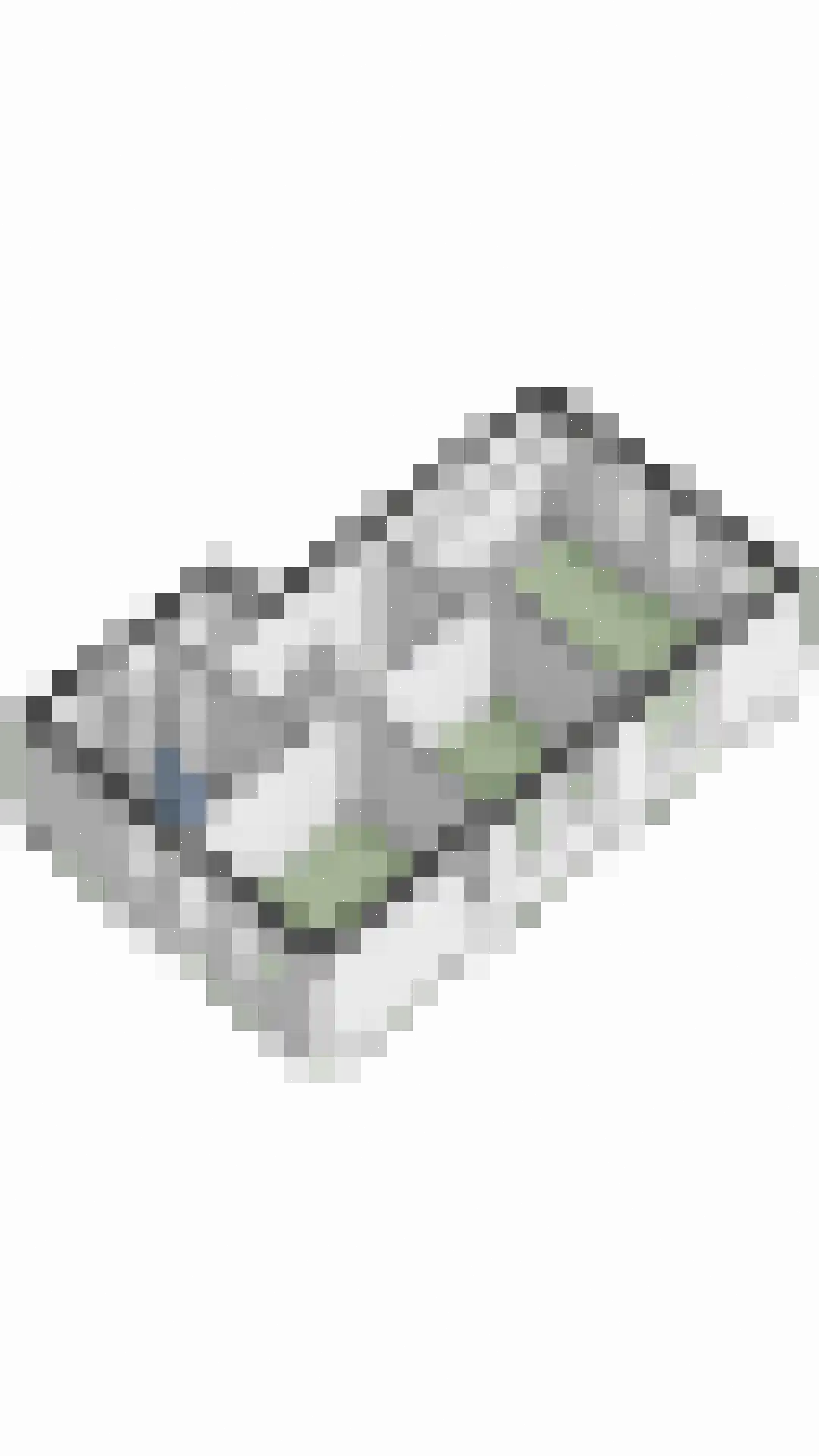 Dageraad 47 Elst thumbnail 46