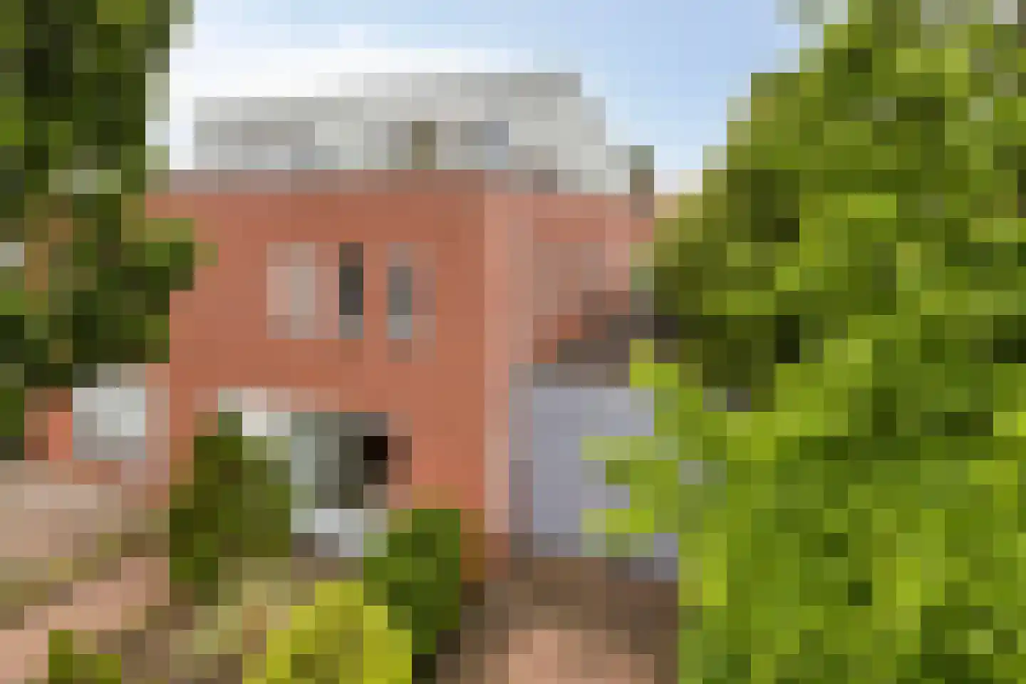 Dageraad 47 Elst thumbnail 5