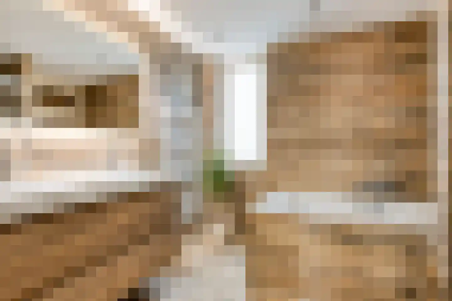 Dageraad 47 Elst thumbnail 6