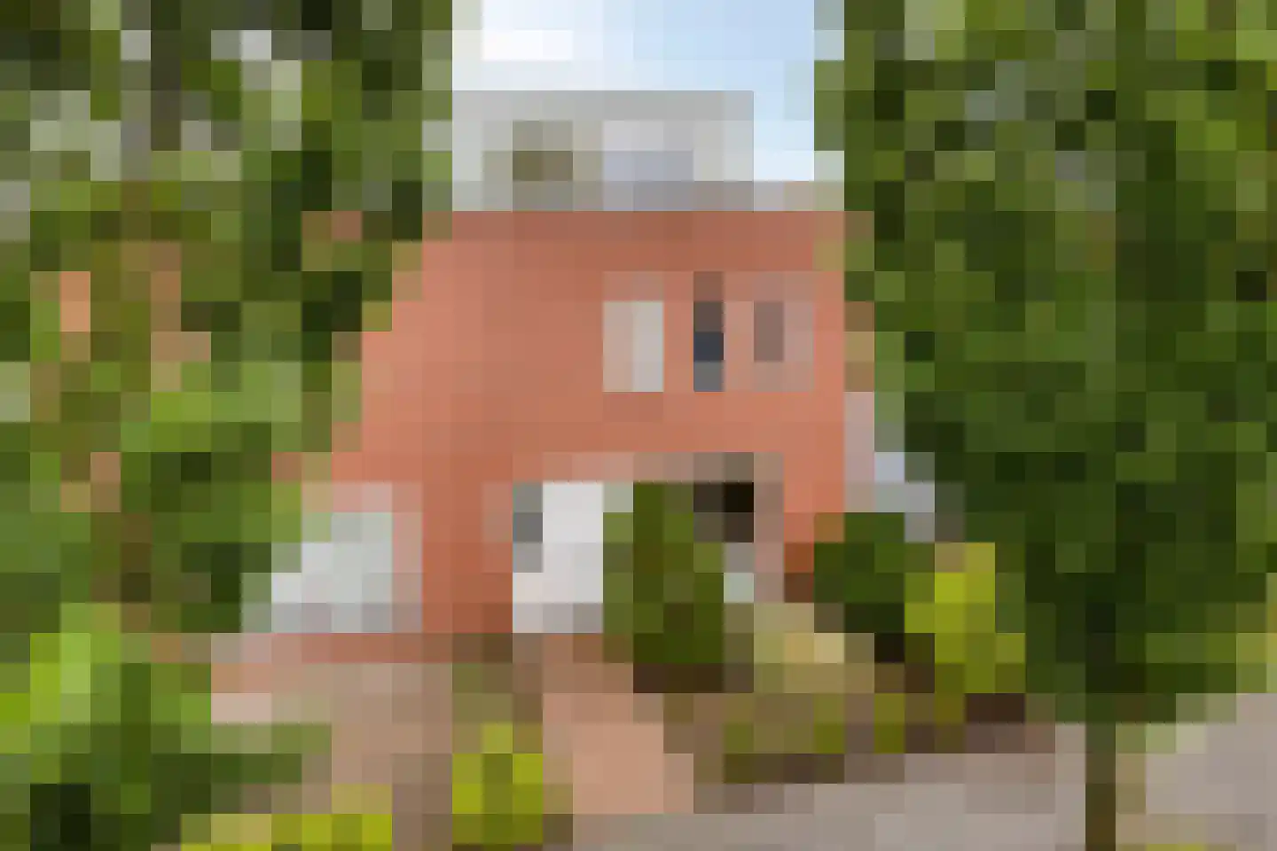 Dageraad 47 Elst thumbnail 7