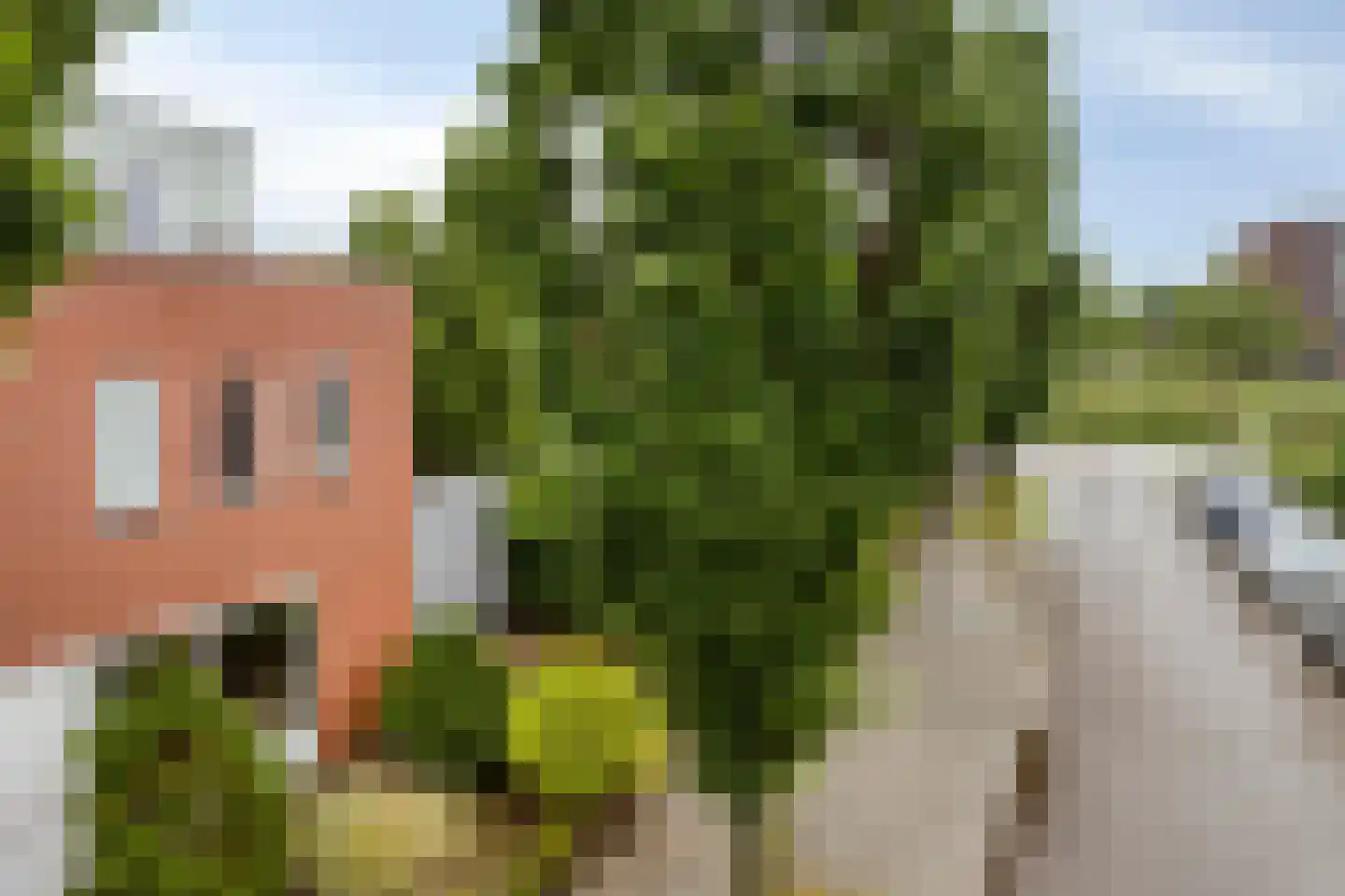 Dageraad 47 Elst thumbnail 8