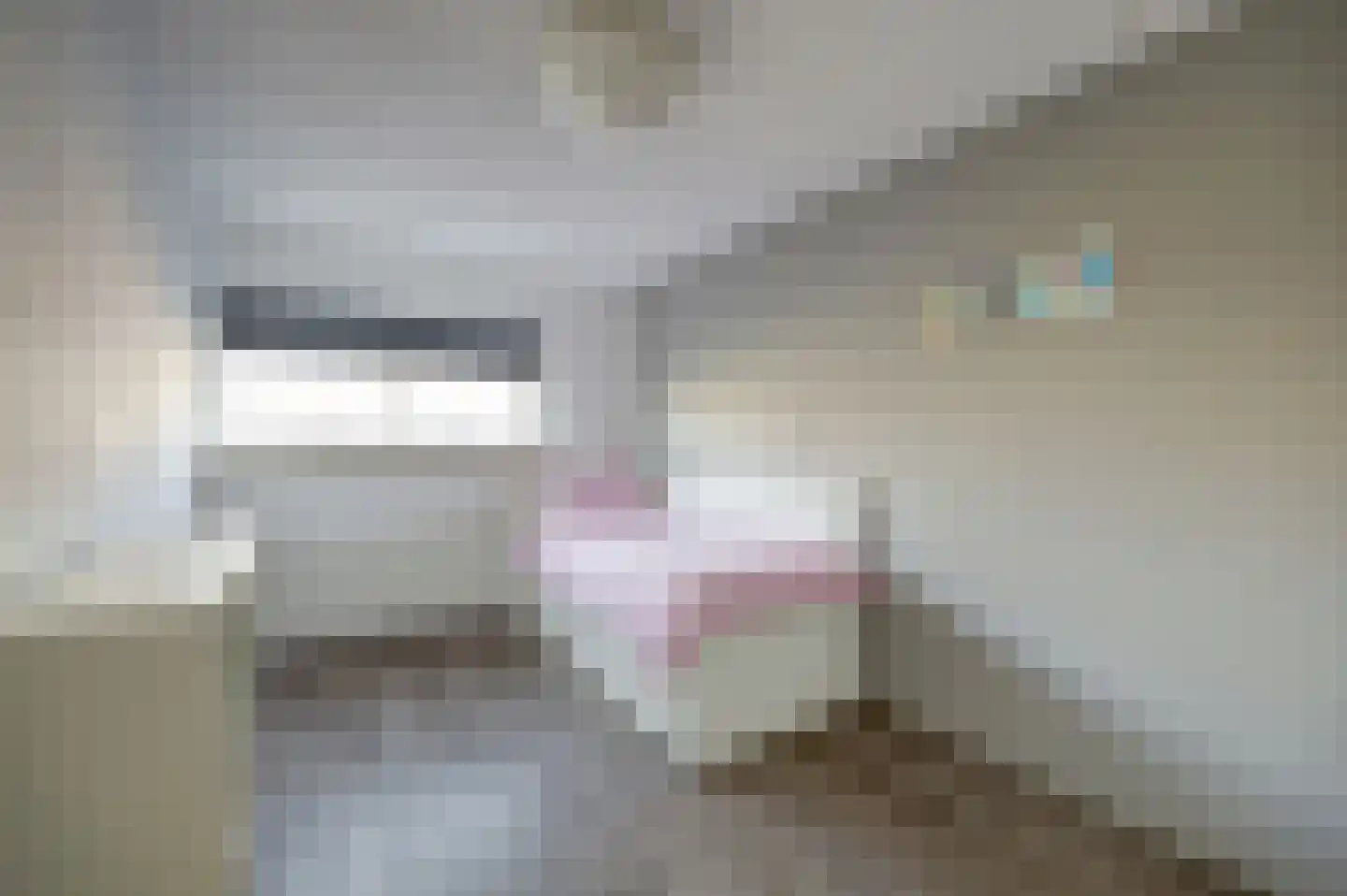 Dageraadstraat 26 Almere thumbnail 19