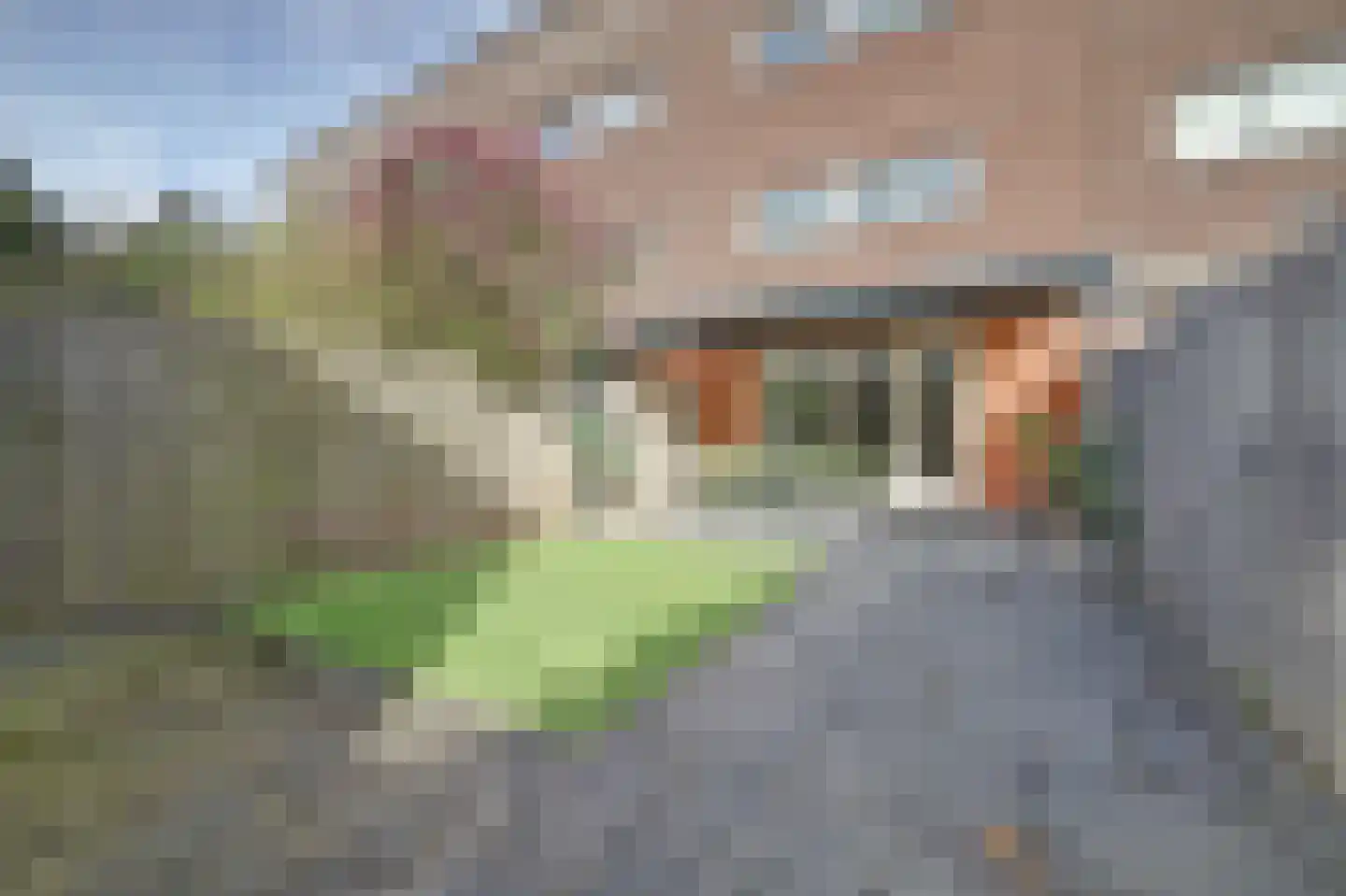 Dageraadstraat 26 Almere thumbnail 34