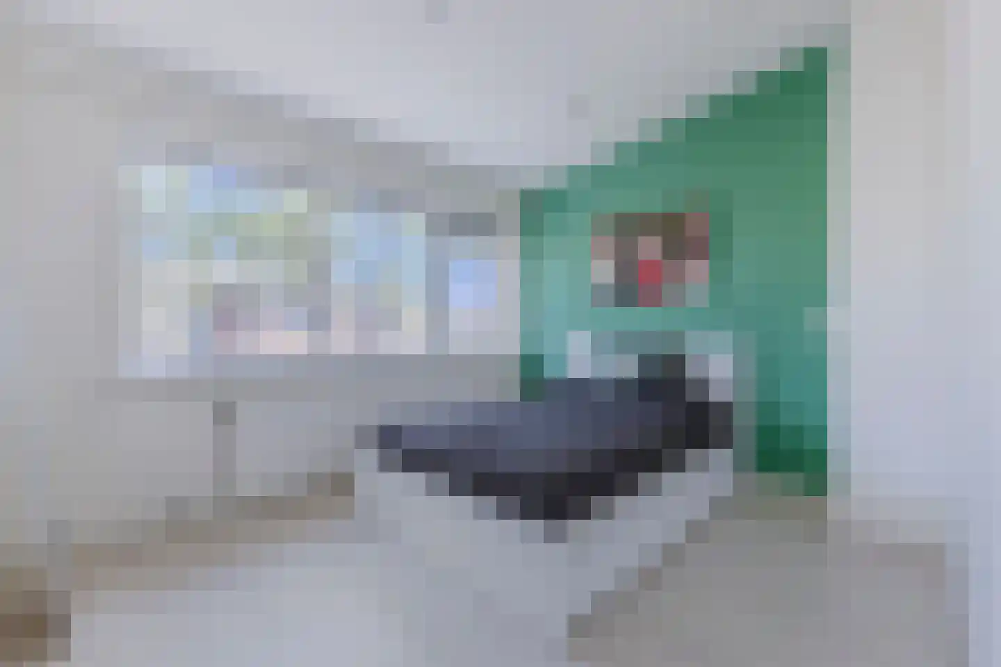 Dageraadstraat 29 Zaandam thumbnail 23