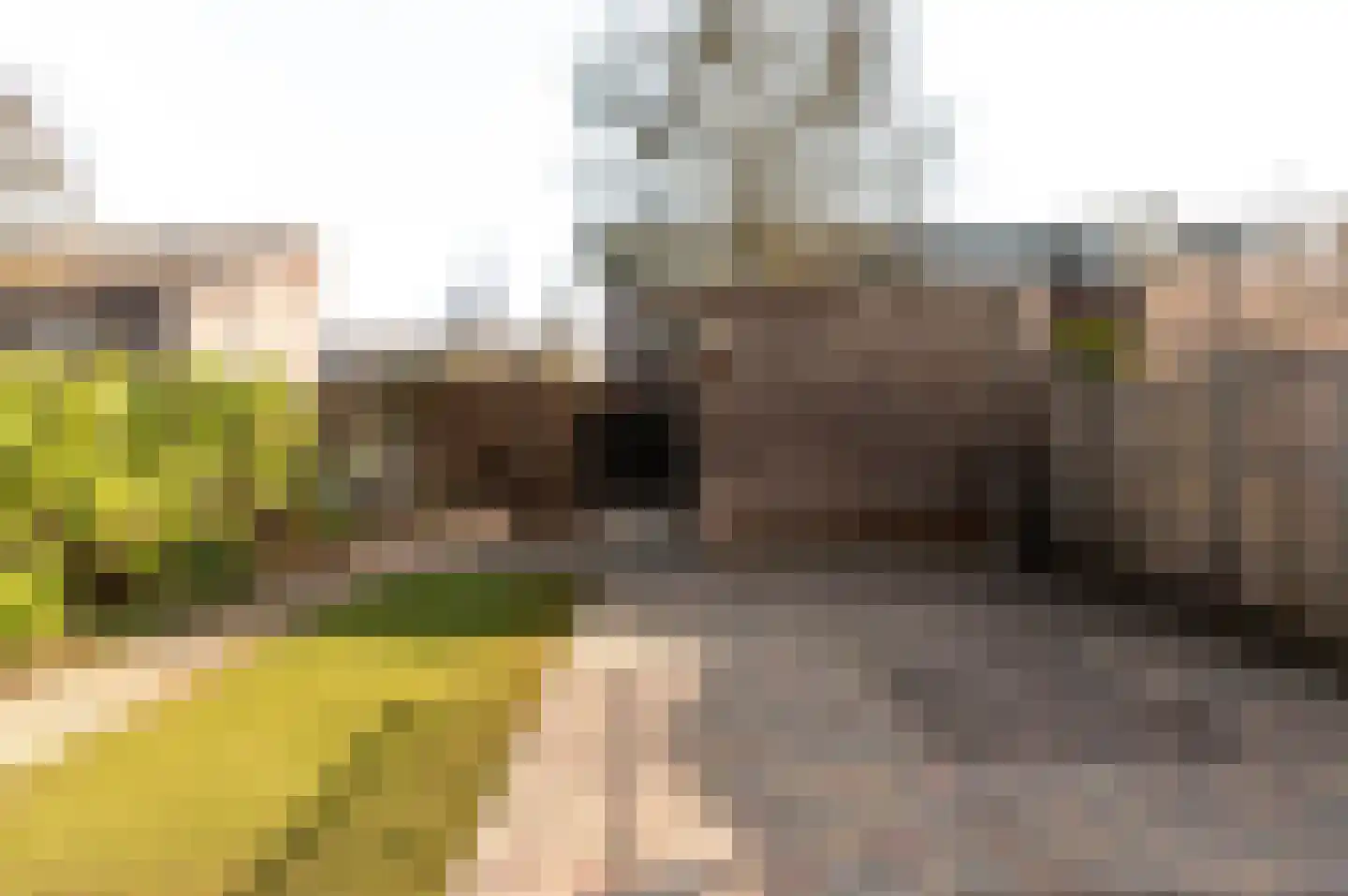 Dageraadstraat 58 Almere thumbnail 32
