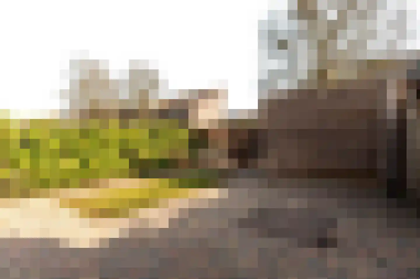 Dageraadstraat 58 Almere thumbnail 33