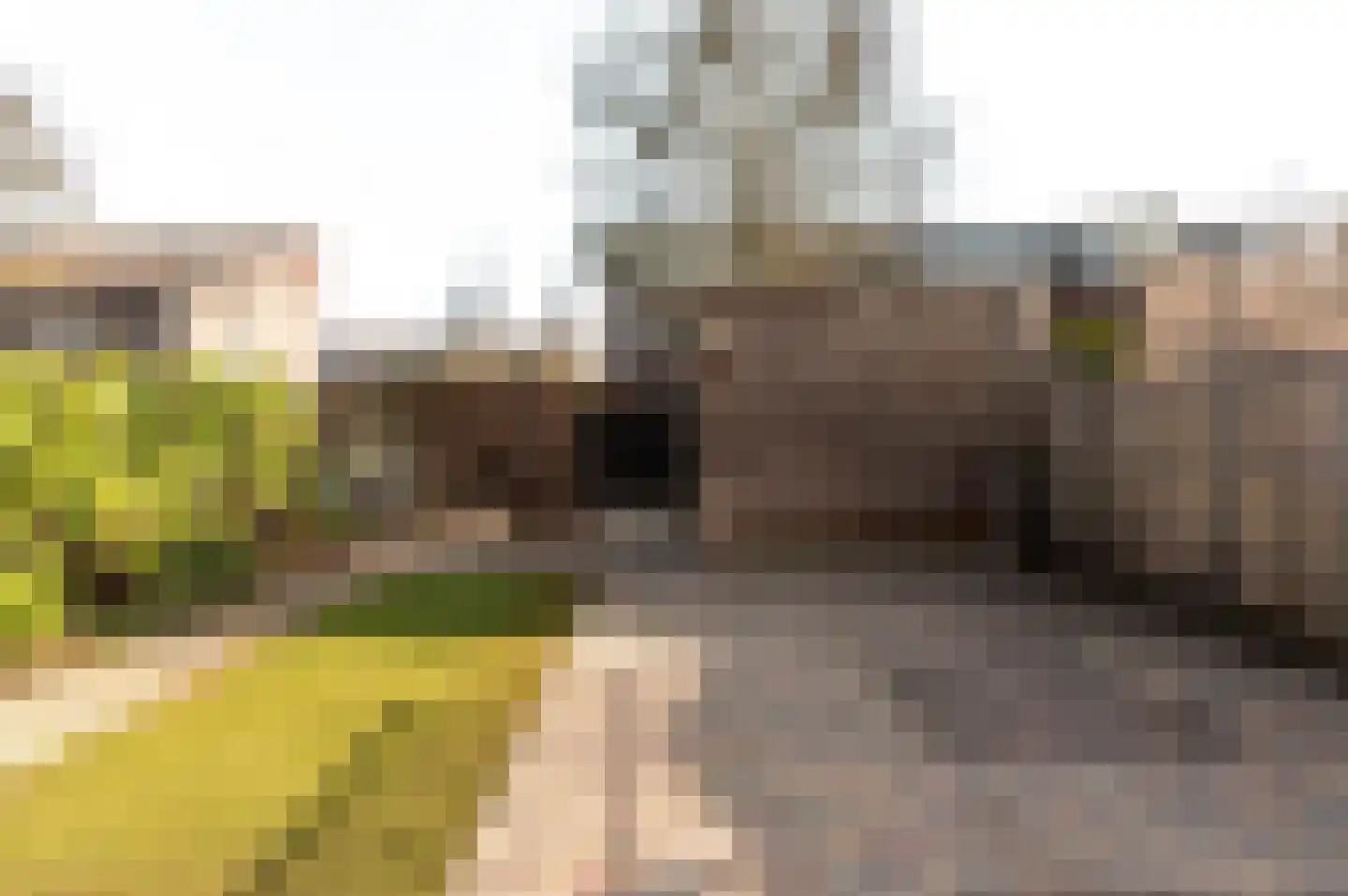 Dageraadstraat 58 Almere thumbnail 34