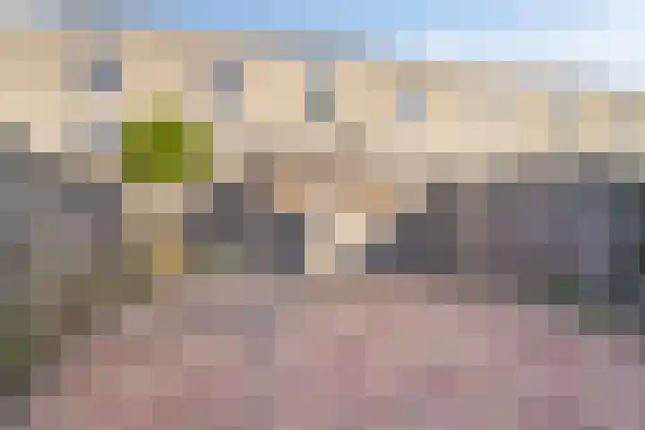 Dageraadstraat 7 Almere thumbnail 10