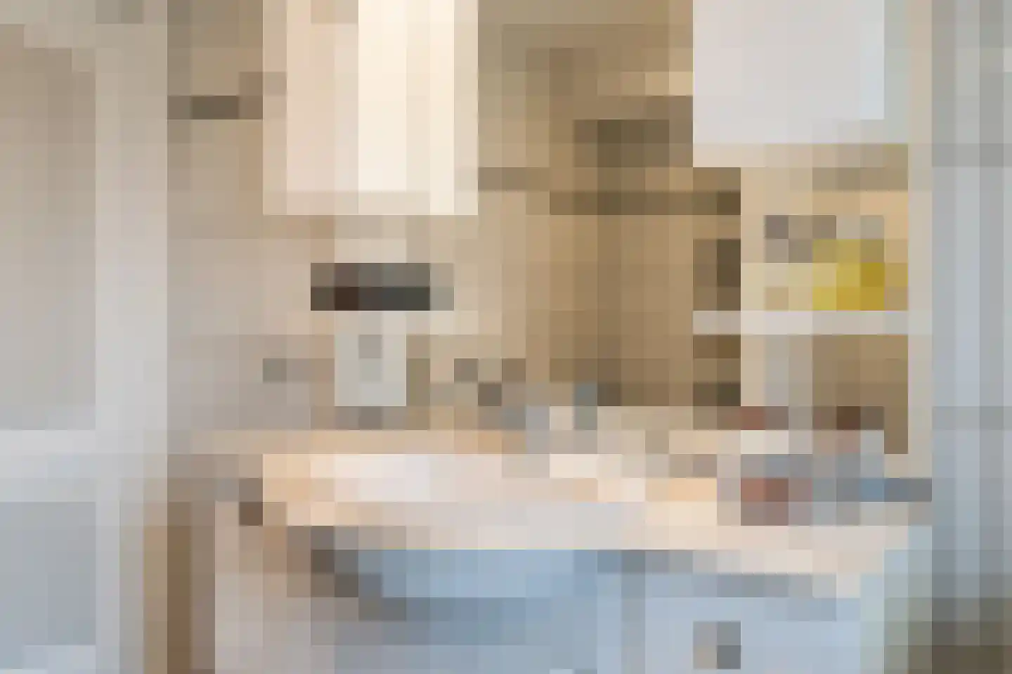 Dageraadsweg 47 's-Hertogenbosch thumbnail 12
