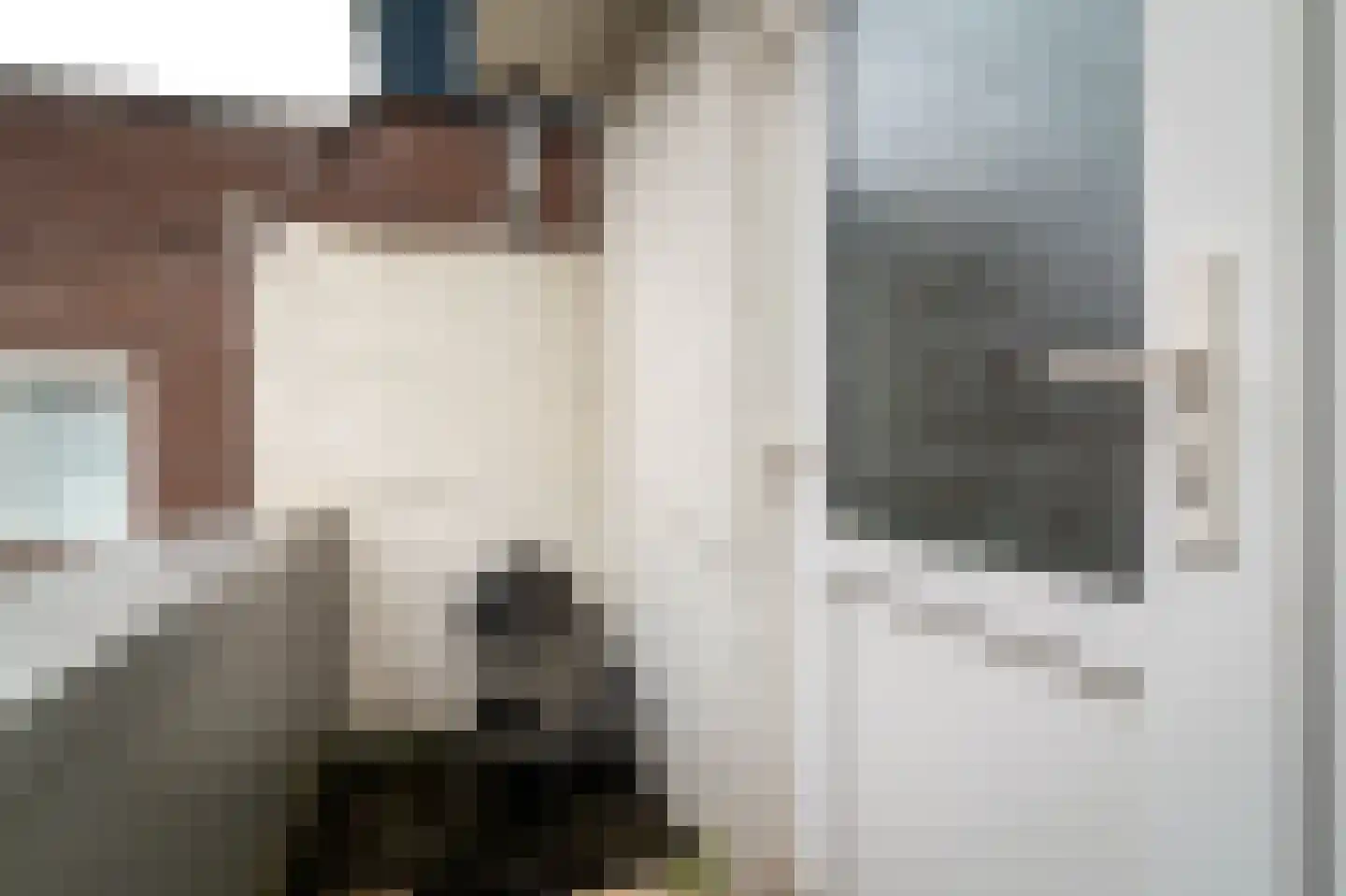 Dageraadsweg 47 's-Hertogenbosch thumbnail 19