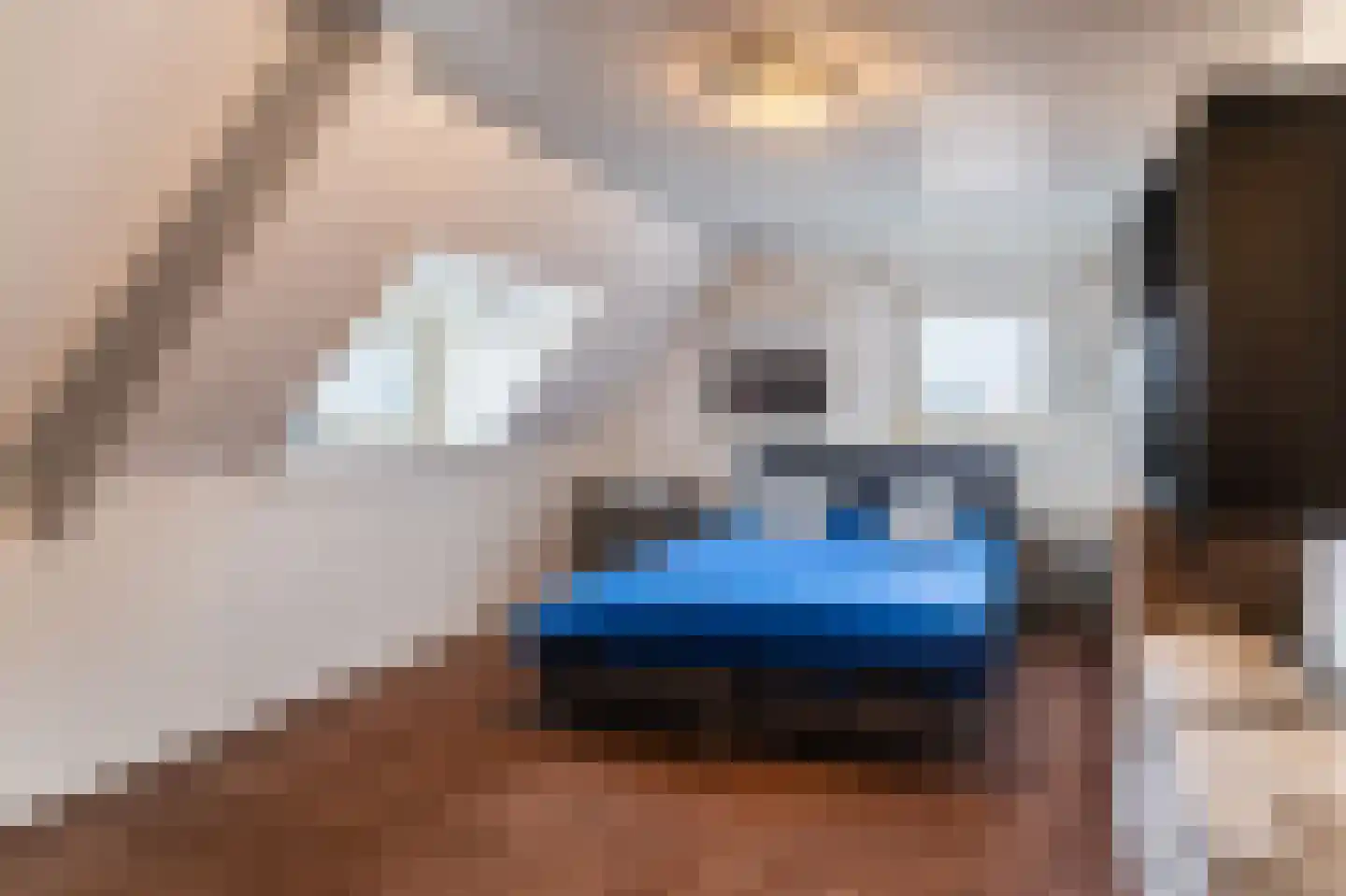 Dageraadsweg 47 's-Hertogenbosch thumbnail 20