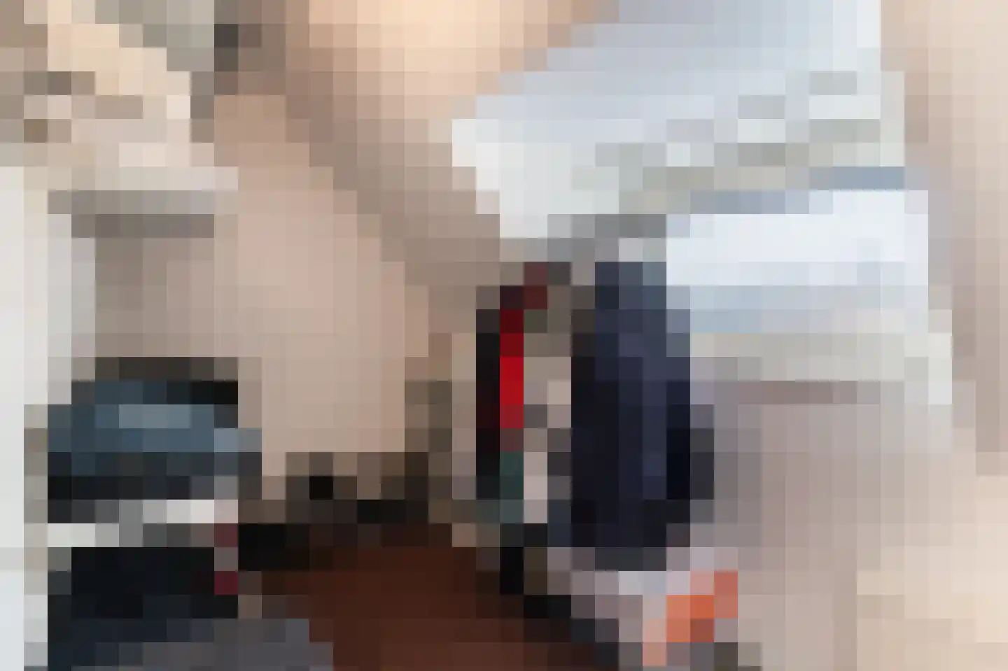 Dageraadsweg 47 's-Hertogenbosch thumbnail 22