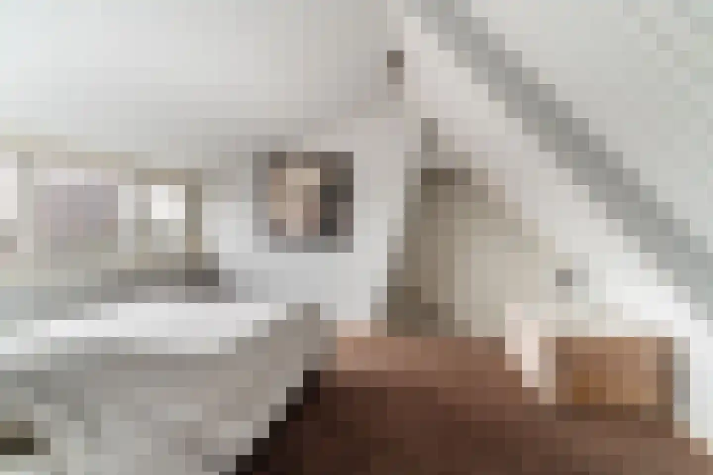 Dageraadsweg 47 's-Hertogenbosch thumbnail 24