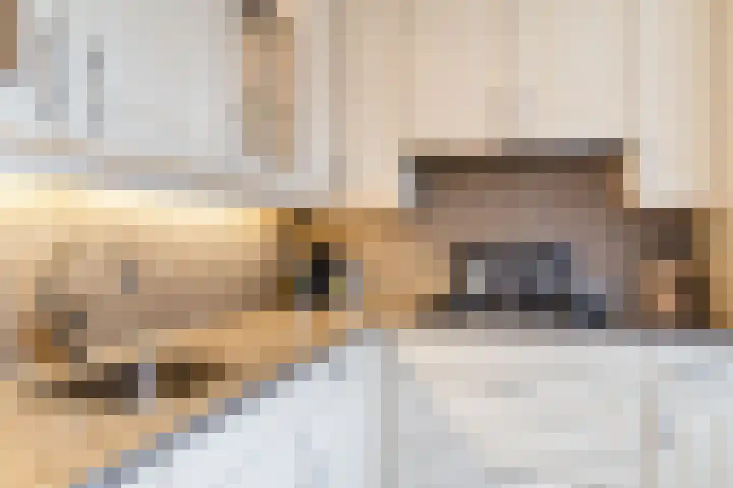 Dageraadsweg 47 's-Hertogenbosch thumbnail 5