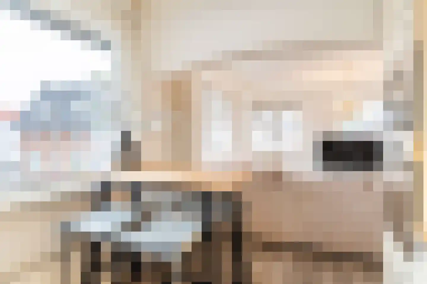 Dageraadsweg 47 's-Hertogenbosch thumbnail 8