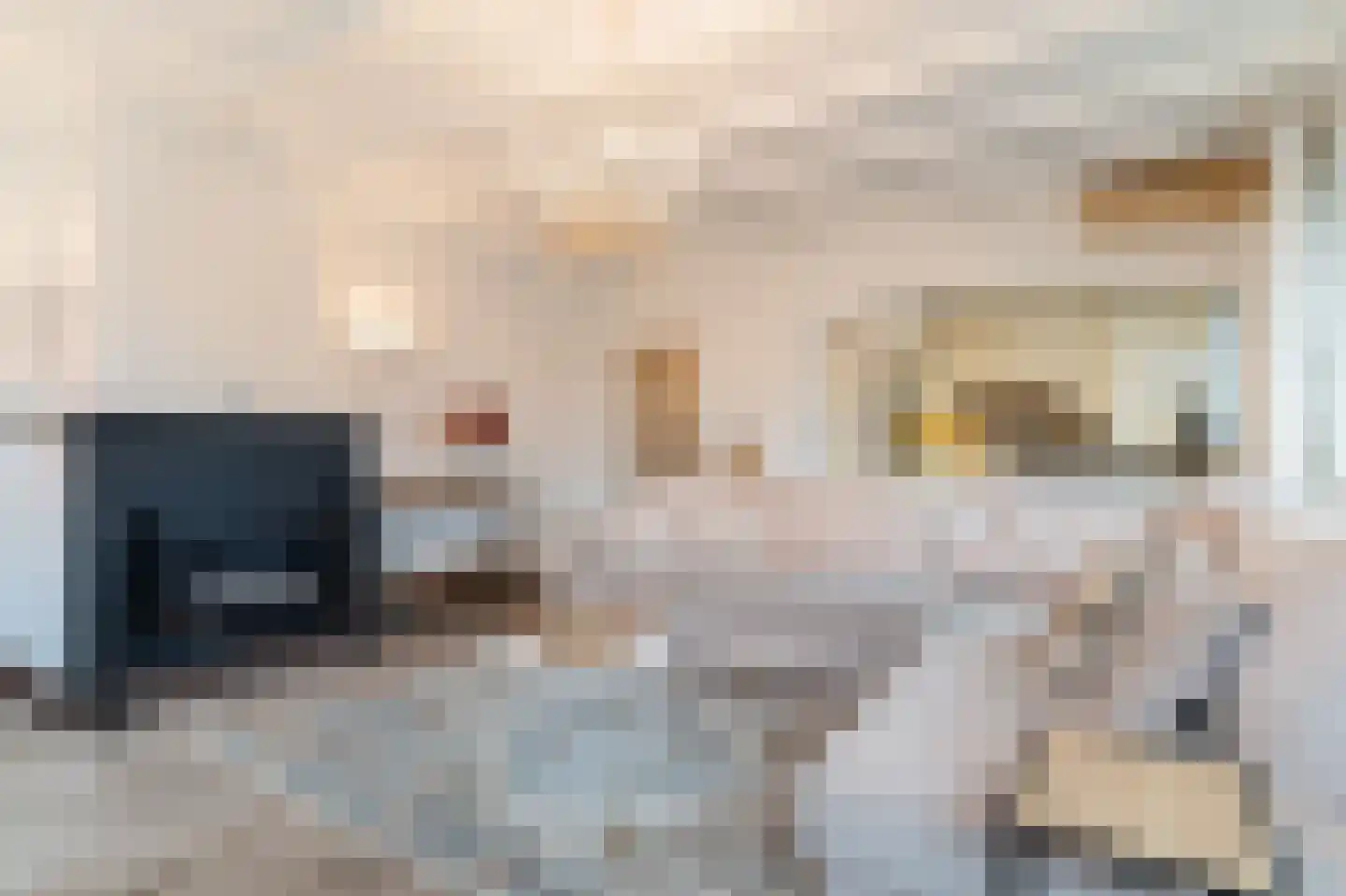 Dageraadsweg 47 's-Hertogenbosch thumbnail 9
